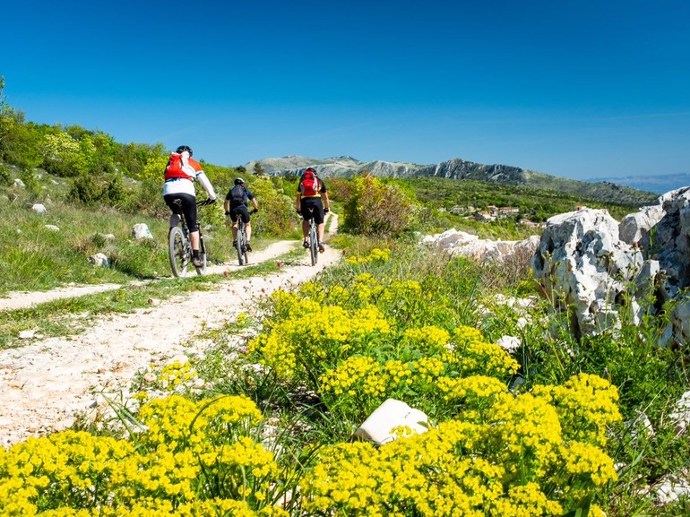 Majestic Coastal Retreat - Villa Mayan